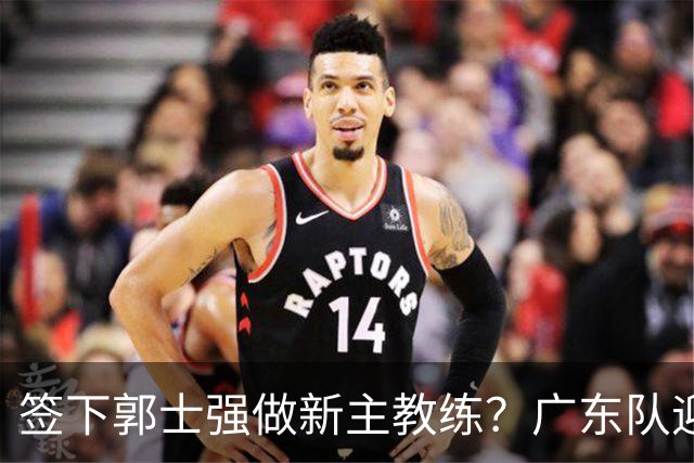 签下郭士强做新主教练？广东队迎来换帅机会，杜锋有望执教国家队